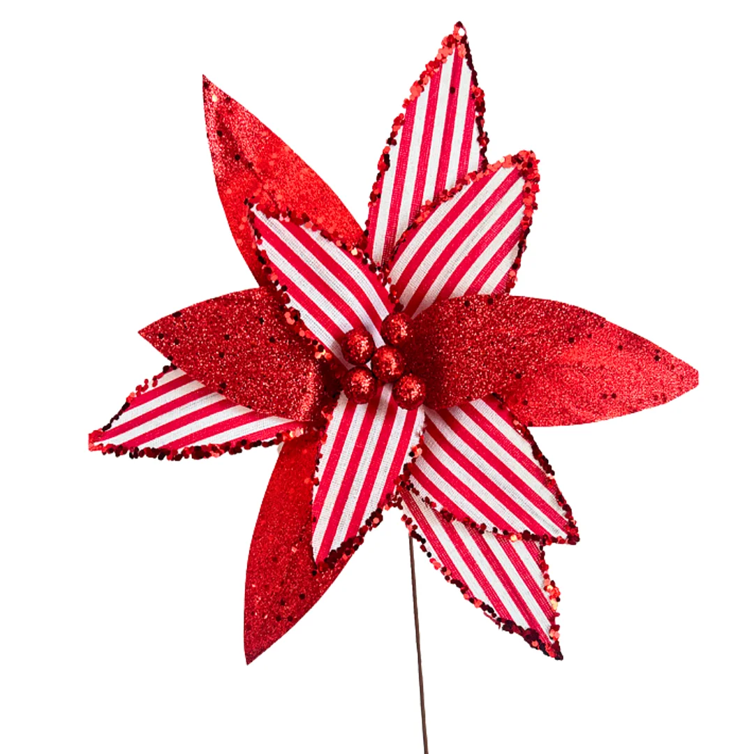 Posetia Rojo-Blanco - Image 2